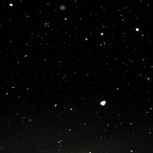 Meet your Posher, Sophie